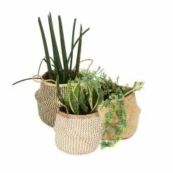 Acheter 😀 Compactor Lot 3 x Panier de rangement 😀 -Accessoires pour la maison Soldes 3370910116045 7