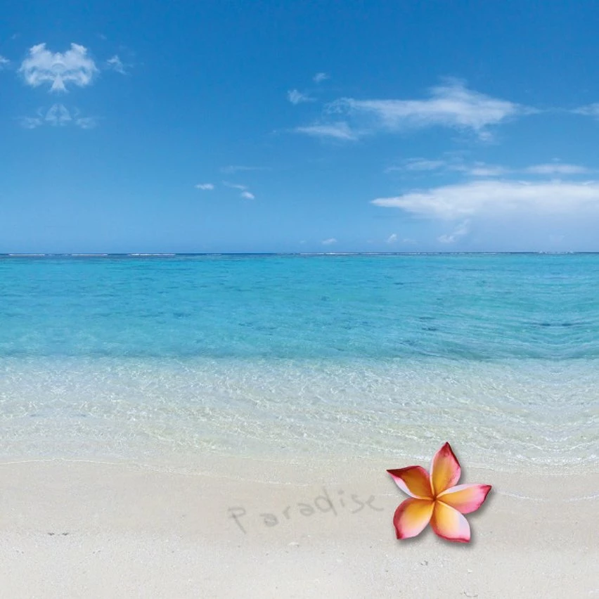 Vente flash 🥰 MSV Abattant WC MDF PARADISE Bleu - Charnières Inox 🥰 7 Vente flash 🥰 MSV Abattant WC MDF PARADISE Bleu - Charnières Inox 🥰 – Image 5