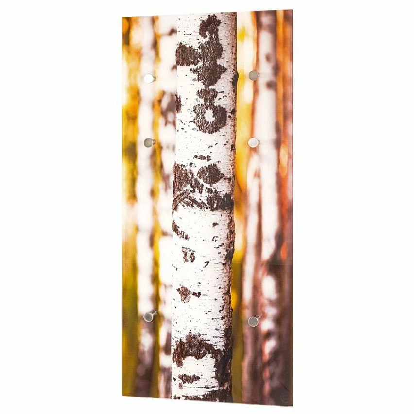 Les meilleures critiques de 🥰 Paris prix Patère Murale en Verre "Bouleau" 90cm Marron 🔔 3 Les meilleures critiques de 🥰 Paris prix Patère Murale en Verre "Bouleau" 90cm Marron 🔔